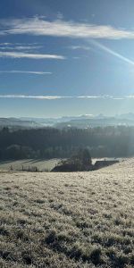 3.5 Zimmer, 75 m² - Photo 4