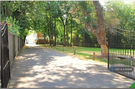 2 bedroom penthouse to rent - Photo 5