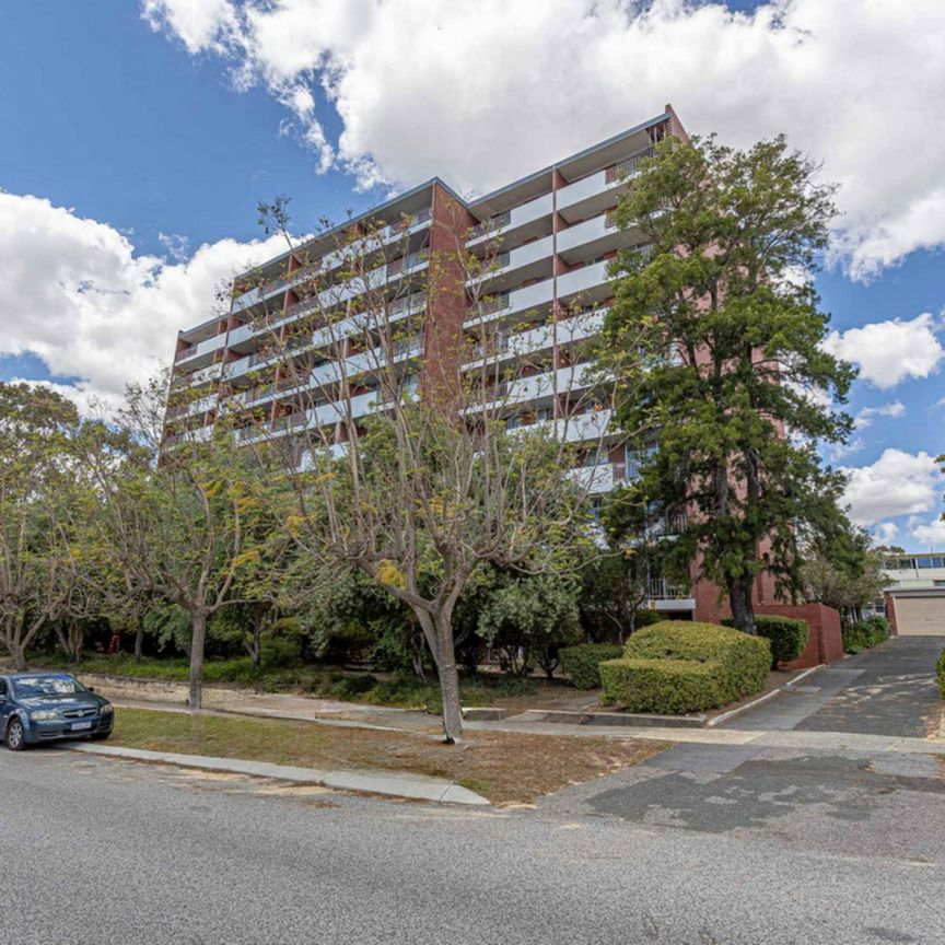 Freshly updated, in Vibrant Victoria Park - Photo 1