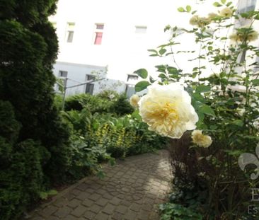 Gemütliche 2 Raum Wohnung mit Einbauküche und Tageslichtbad in Stad... - Foto 5