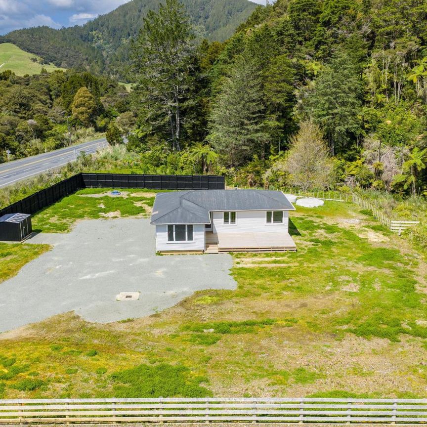 Freshly Renovated, Sun-Soaked & Move-In Ready! - Photo 1