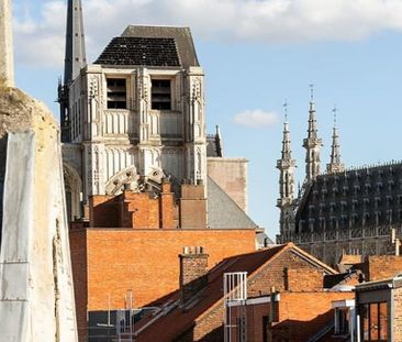 Studio met slaaphoek te huur in Leuven voor € 830 met 1 slaapkamer - Foto 5