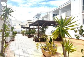 Alquiler de piso en Avenida Costa Levante