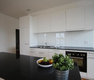 Einzigartige und moderne Maisonettewohnung an der Birs - Photo 4
