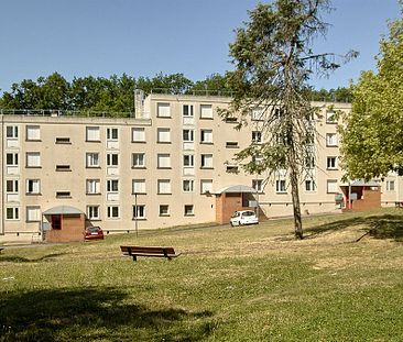 Appartement CHATEAU DU LOIR T4 - Photo 3