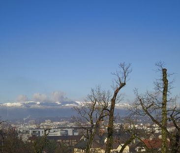 Appartement T1 entièrement meublé, terrasse, 1 parking sécurisé en ... - Photo 6