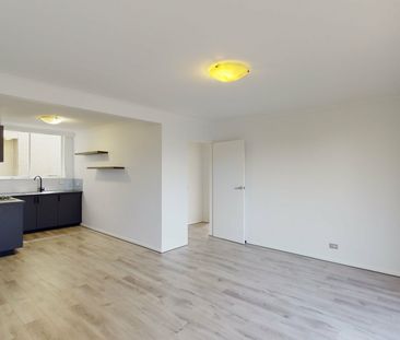 Beautiful Quiet Property with a large Courtyard! - Photo 1