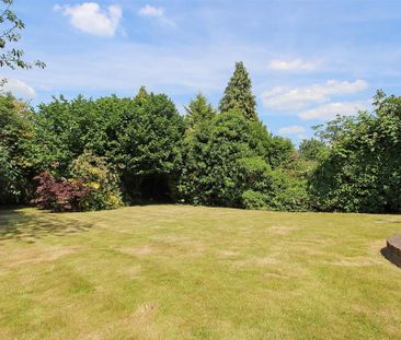 2 bedroom detached bungalow to rent - Photo 6