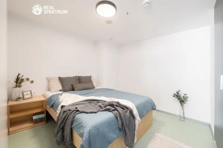 Pronájem moderního 2+kk (Standard) u Vaňkovky – BEZ PROVIZE! - Fotografie 3