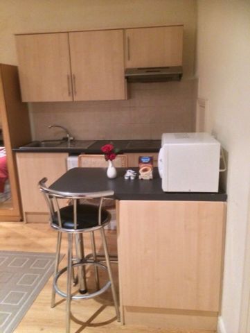 Studio Flat, Staverton Road, NW2 - Photo 5