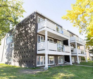 Lincoln Terrace Apartments - Photo 5