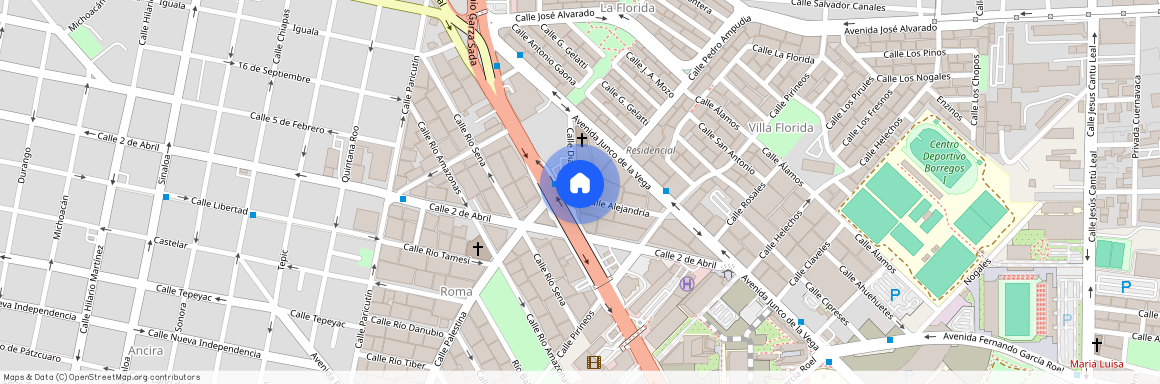 Calle Diagonal, Roma, Monterrey, Nuevo León, 64700, MEX