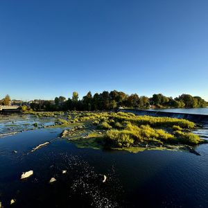 3 ½ à Louer, Beau Secteur! - Photo 3