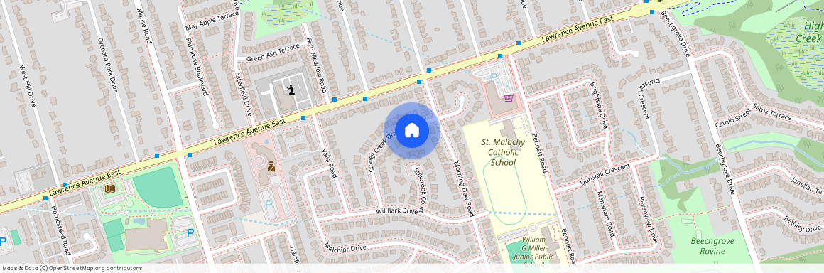 29 Stoney Creek Drive Unit# Bsmt, Toronto