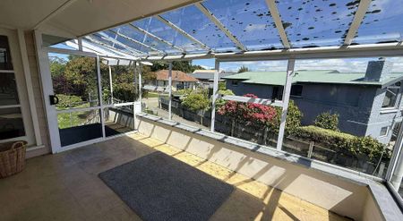 Executive Home - Photo 3