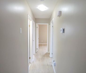 Refreshed 3 Bed 1 Bath in Quiet Residential Area - Photo 2