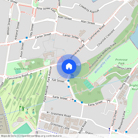 1/20 Grafton Street, NSW 2062, Cammeray