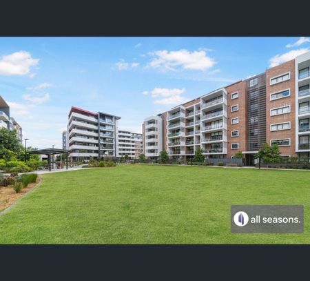 G01/4 Saxby Close, Botany, NSW 2019 - Photo 4