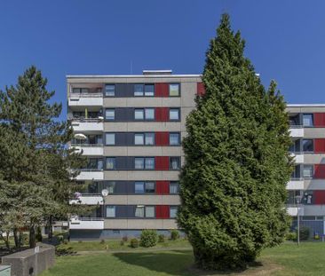 Demnächst frei! 3-Zimmer-Wohnung in Siegen Weidenau - Foto 1