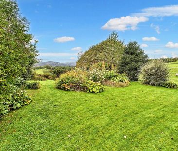 2 bedroom detached bungalow to rent - Photo 4