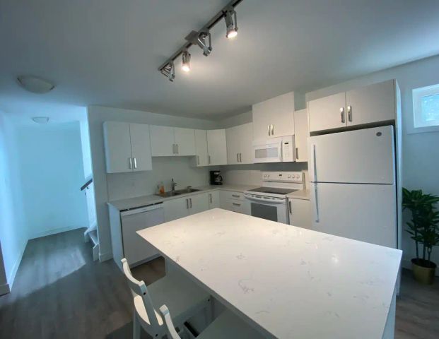 Basement Unit C 1018 Maitland Avenue — Unit C - Photo 1