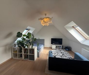 Prachtige, ruime villa met 7 kamers te huur op een rustige locatie ... - Photo 2