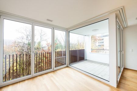 3.5 Zimmerwohnung in Schaffhausen - Photo 3
