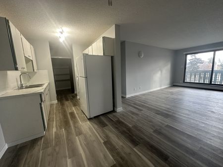 Small Pet Friendly Spacious 3-Bedroom Apartment - Photo 2