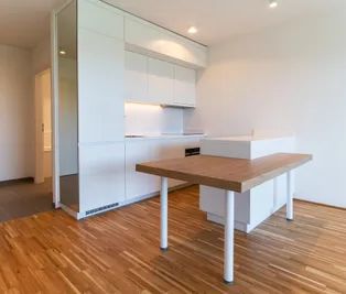 2-Zimmer Wohnung mit Blick in den Kurpark! - Fußbodenkühlung, hochwertige Ausstattung, direkt bei U1-Oberlaa - Foto 1