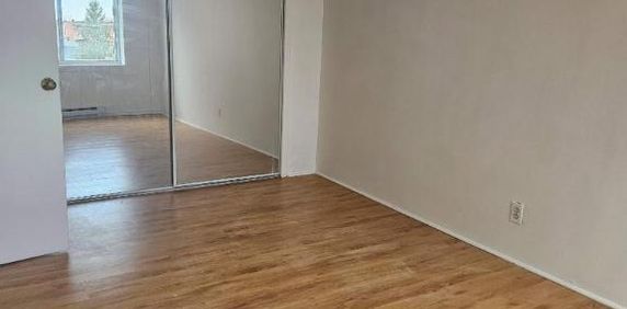 1 CH - 1 SDB - Montréal - $1,245 /mo - Photo 2