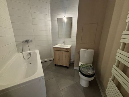 Location Appartement 1 pièce 22m² - Photo 5