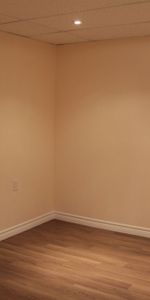 NEWLY constructed room for RENT! (Female Only) - Photo 3