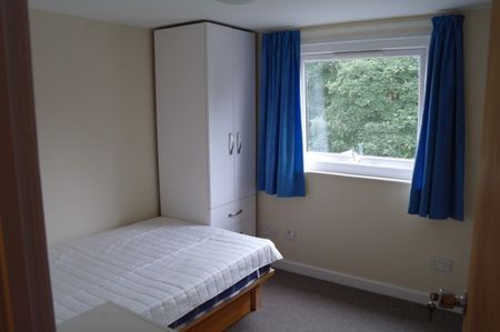 37 ALTON ROAD - Photo 3