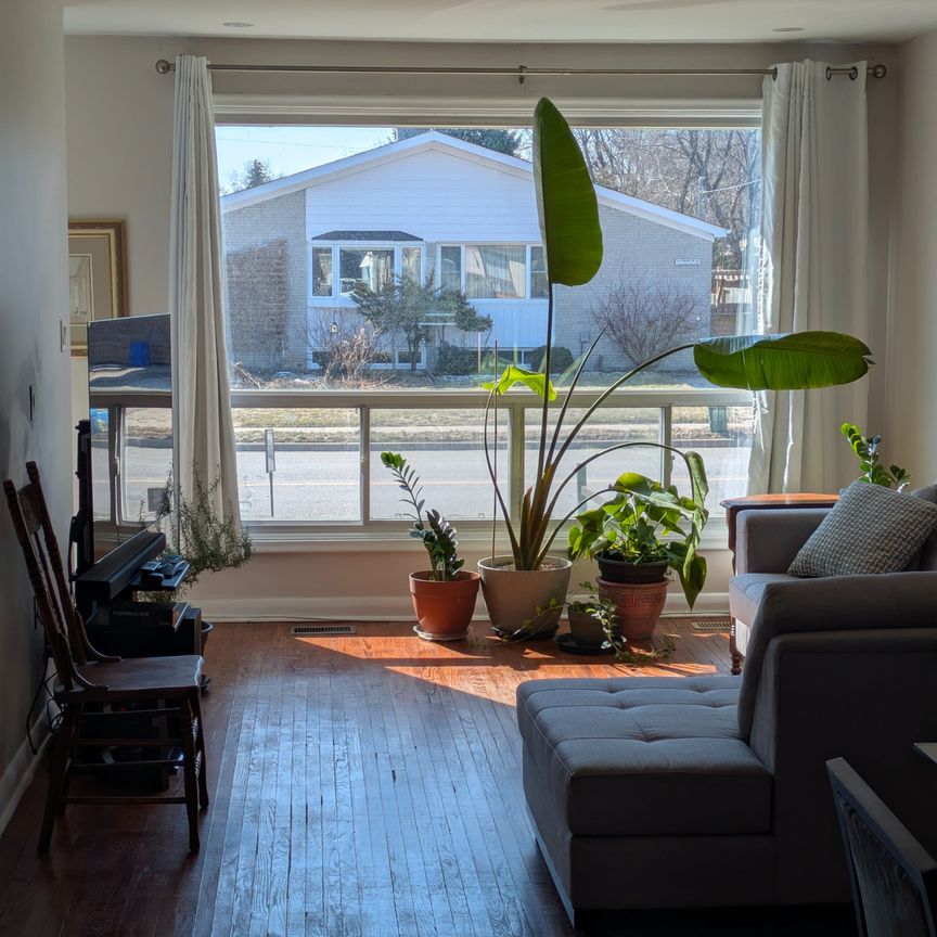 For Lease - 339 Taylor Mills Drive, Richmond Hill, Ontario - Photo 1