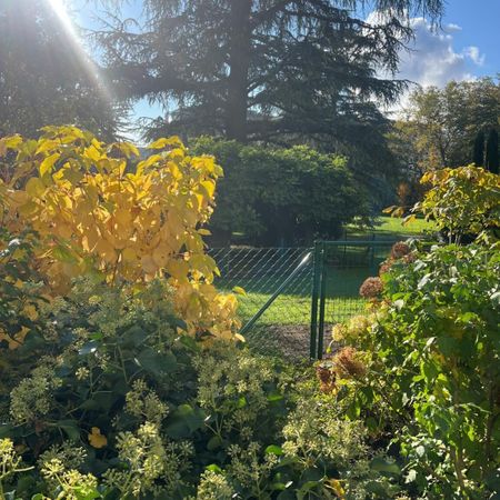 6P/ GROUND FLOOR APARTMENT - Foto 4