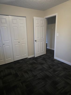 Modern 1 Bedroom Apartment Downtown Available Now - Photo 1