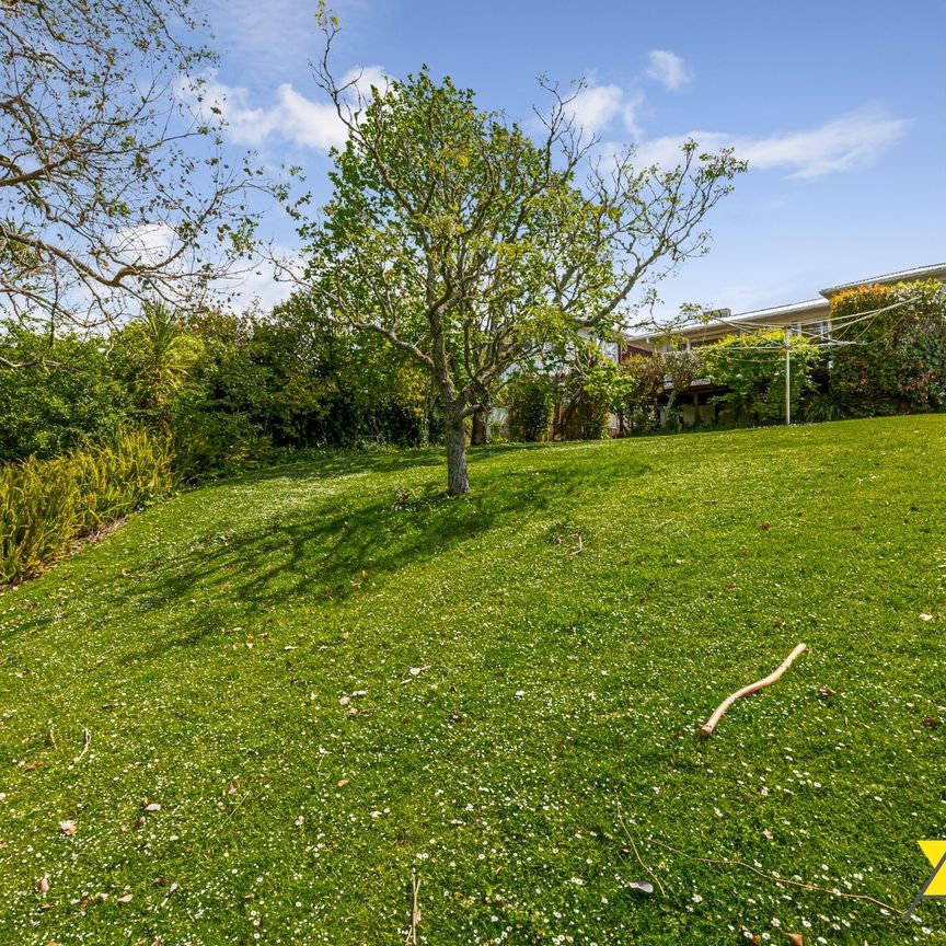 3 bedroom and 1 bathroom house in Glen Eden - Photo 1