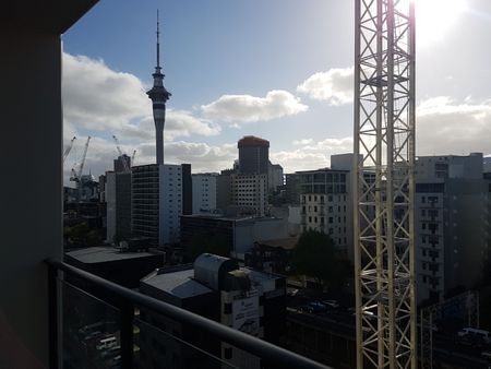 SugarTree Centro! - Photo 2