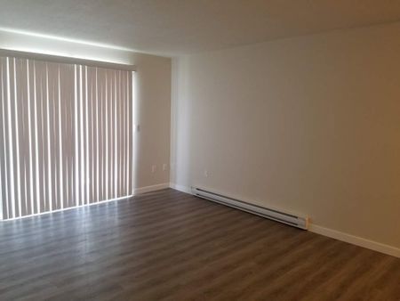 1 Bedroom - Photo 5