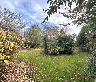 Available late December, Hill Top House is a welcoming three bedroo... - Photo 6