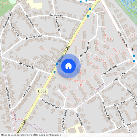 Weidenstr. 28, 45701, Herten Ot Bertlich