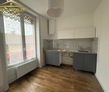 Location Appartement 1 pièce 29m² CHARLIEU 42190 - Photo 2