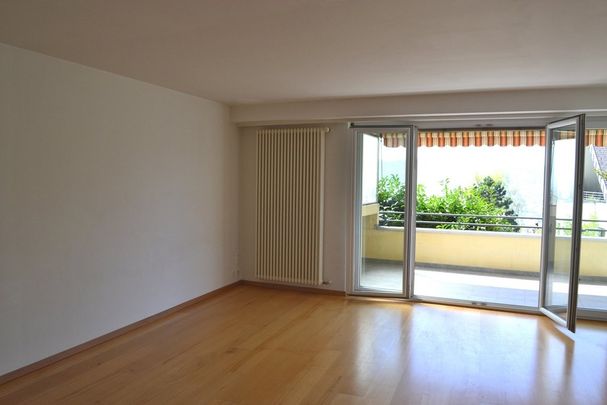 ruhiges Wohnen am Zürichberg - Photo 1