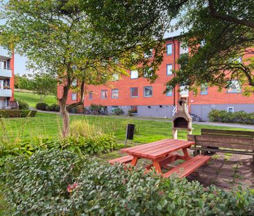 Pilegården 5G - Photo 6