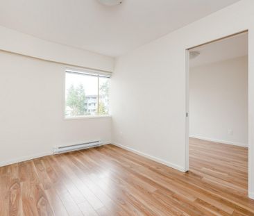 Royal Arms - Photo 4