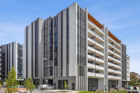 207/44 Constitution Avenue, Parkes ACT 2600 - Apartment For Rent | Domain - Photo 4