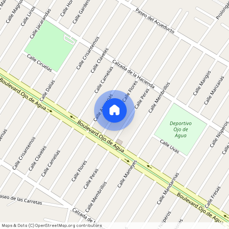 Calle Flores, 55740 Ojo de Agua, MEX, Mexico