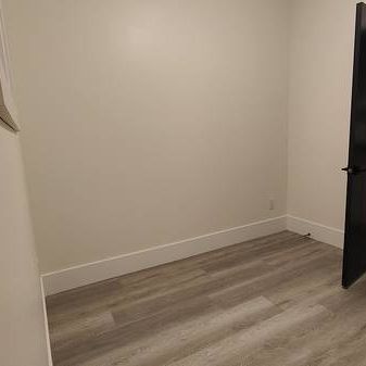 New 3 Bedroom 1 Bath, Basement Suite - available now - Photo 1