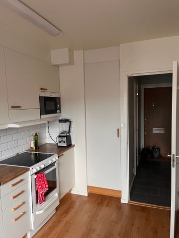 Skäpplandsgatan, Göteborg - Photo 3