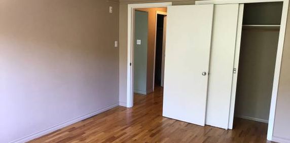 1 Bedroom Apartment on Fort Street $1500.00 - Photo 2